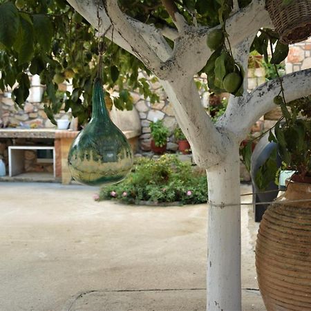 Villa Fioro Stone House Tsilivi  Esterno foto
